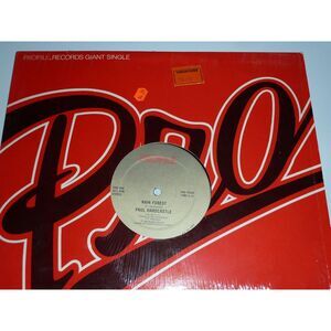 Rain Forest / Sound Chaser 12" Single PAUL HARDCASTLE Vinyl Record LP